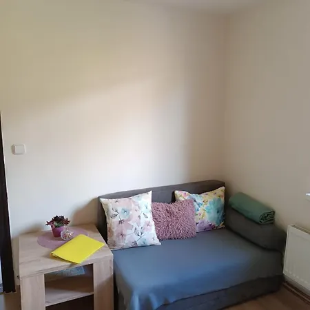 Apartman Kocourkov Jachymov Exterior photo